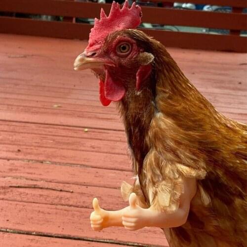 Chicken Arm Toy Gag Gift Chicken Arms Props Chicken Forelimb Decoration Spoof For Pet Themed Party Farm Animal Supplies Dropship