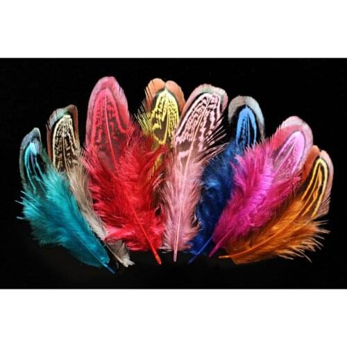 Tigofly 50 pcs/lot 5-10cm Assorted Colors Loose Cock Pheasant Plume Feathers Shoulder Church Windows Fly Tying Materials