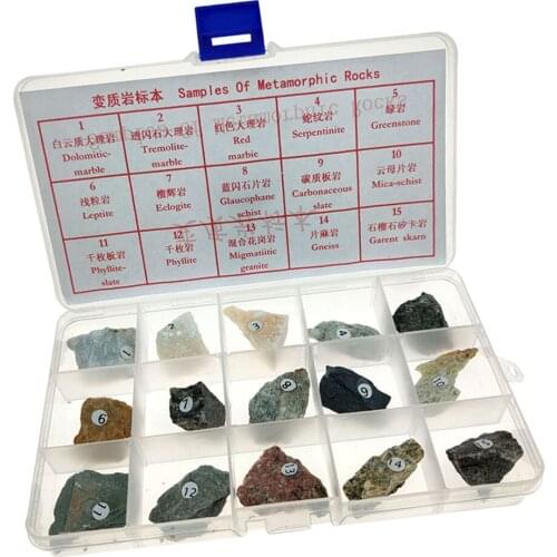 Metamorphic Rock Specimen Educational Metamorphic Real Stone Teaching Aid
