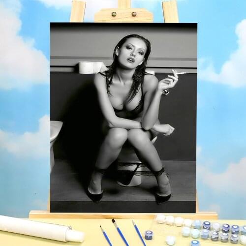 Sexy Woman Smoking Toilet Paint By Numbers Set Oil Paints 40*50 Painting On Canvas Home Decor Crafts Adults Drawing