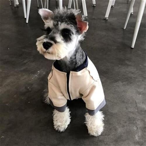 Letter Print Pet Dog Jacket for Small Medium Dogs New Design Dog Coat French Bulldog Clothes Pug Costume PDC0076