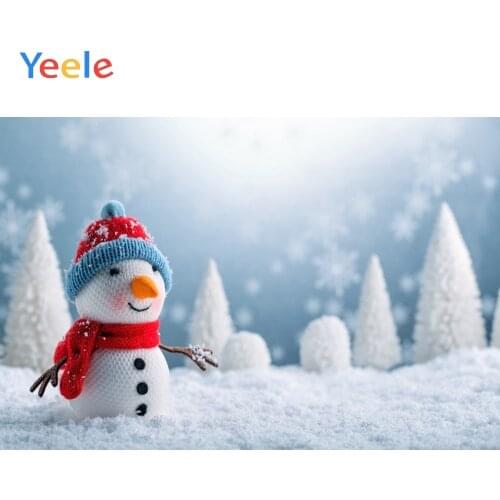 Christmas Winter Snowman Snowflake Sunlight Home Decoration Backdrop Photography Custom Photographic Background For Photo Studio