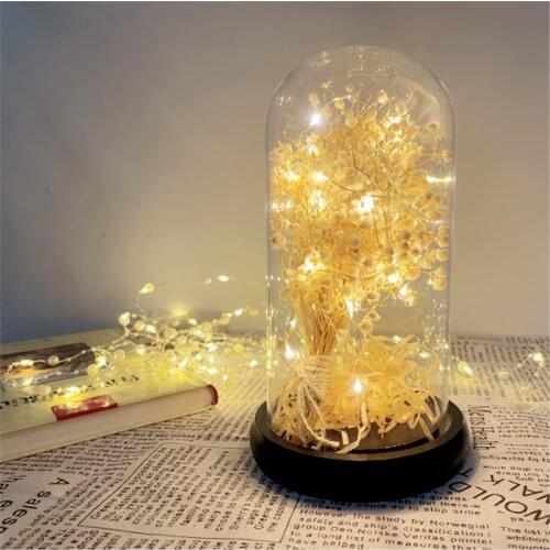Dried Gypsophila Flower with Led Copper Light in Glass Dome Wooden Base for Valentines Day Birthday Women Girl Gift Table Decor