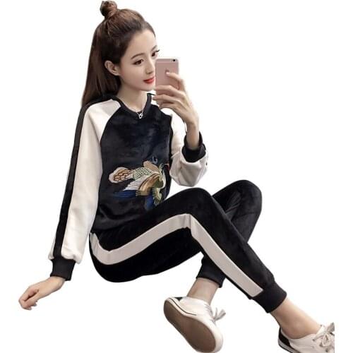Autumn and winter plus velvet thickening swan velvet loose embroidery Korean new casual fashion two-piece