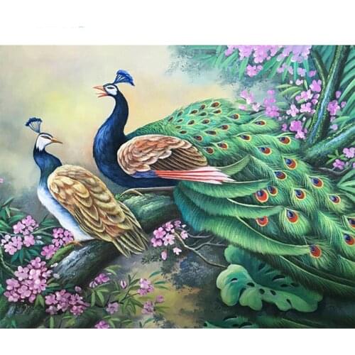 New Arrival 5D Square Diamond Painting Two peacocks Cross Stitch Kit Embroidery Rhinestone Home Decor Needlework ZH