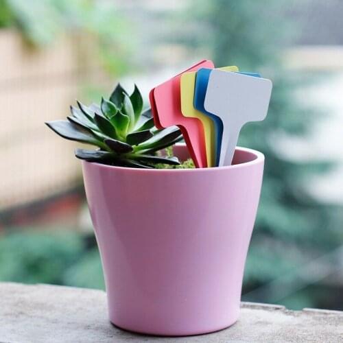 100pcs 6x10cm mixed/set of colorful plant label garden mini T label flower label plastic nursery garden greening flower pot