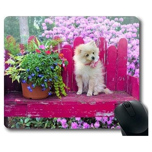 Lovely Pug Dog Gaming Mouse Pad,Dog Puppy Pomeranian Animal Pet Cute Canine,dogs mouse mat