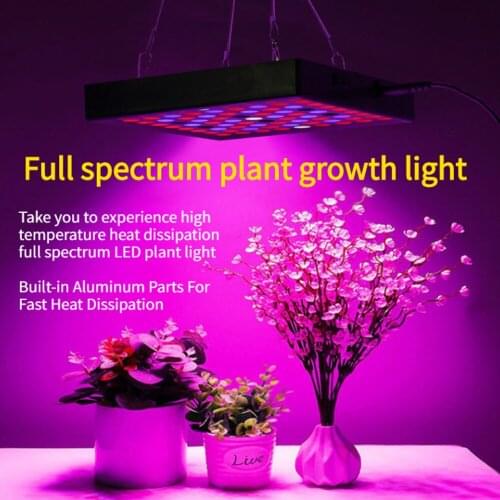 Viktorovna Plant Lamps