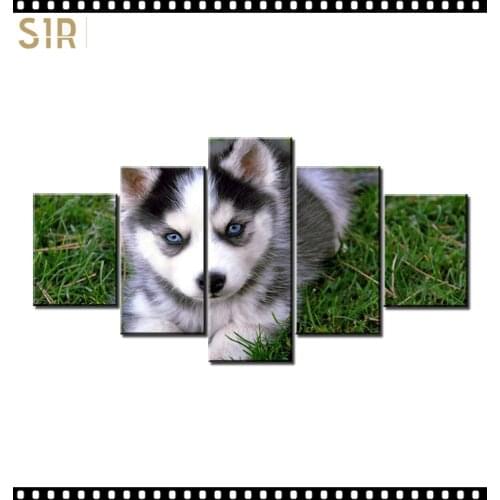 HD 5 Pieces Cute Pet Dog Pictures Posters Wall HD Art Home Decor for Living Room Painting on The Wall Pet Dog Pictures Wall Art
