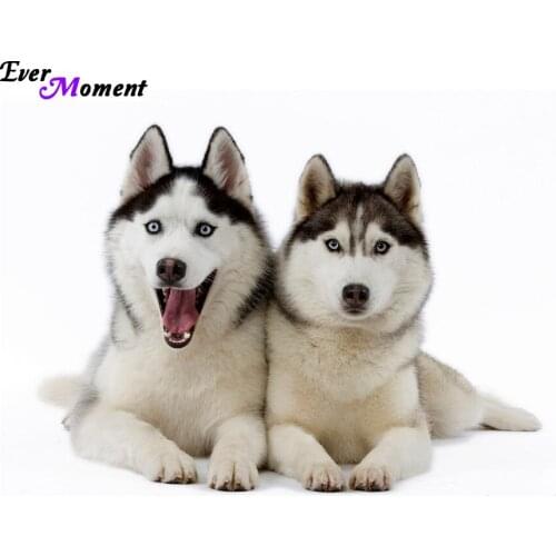 Diy Diamond painting cross stitch animal crystal diamond sets unfinish decorative full diamond embroidery dog ASF391