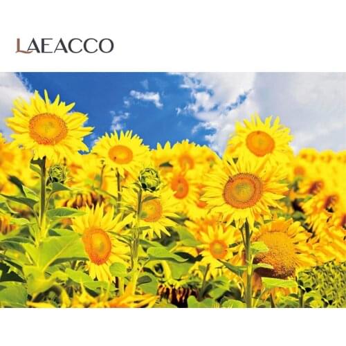 Laeacco Blue Sky Yellow Blossom Sunflowers Filed Autumn Scenic Photographic Backdrop Photography Background For Photo Studio