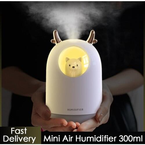 Mini Air Humidifier 300ml Air Diffuser Aroma Essential Oil Diffuser USB Cool Mist Maker Purifier Aromatherapy humidificador