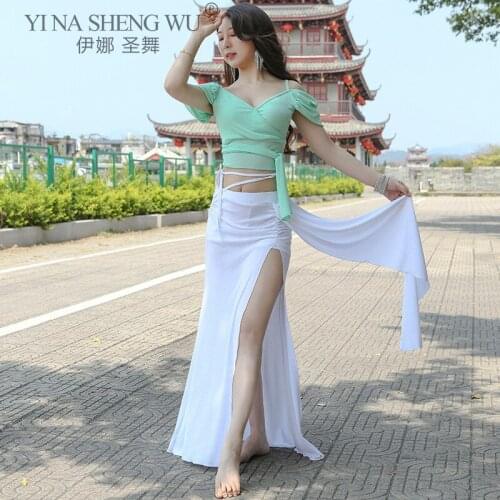 New Women Belly Dance Profession Practice Clothing Eastern Elegance Net Yarn Split Long Skirt Sexy Deep V Collar Top Dance Suit