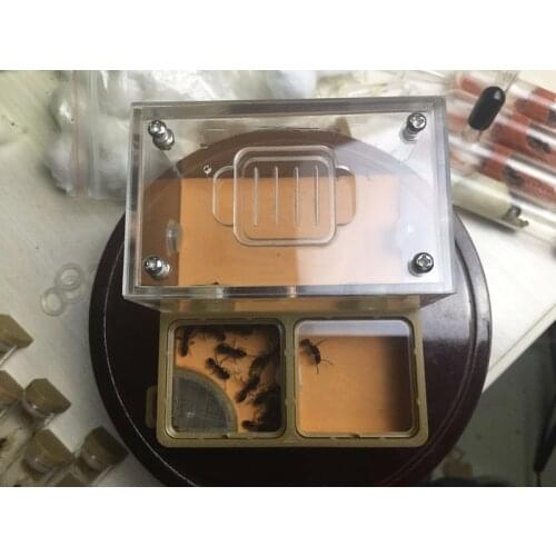 3D Printing Flat Ant Nest Double Grid Acrylic Ant Farm Small Community Feeding Nest