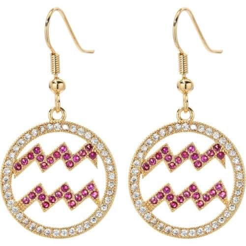 New fashion high quality micro-set twelve zodiac Aquarius zircon earrings, suitable for women / girls sweet romantic earrings