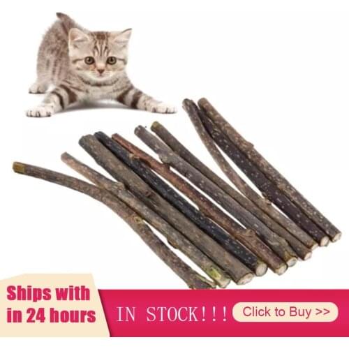 5pcs Pure Natural Catnip Pet Cat Toy Molar Toothpaste Branch Cleaning Teeth Silver Vine Cat Snacks Sticks Pet Supplies