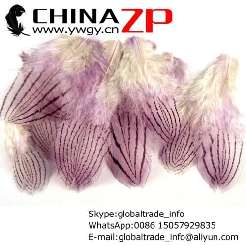 CHINAZP Factory Cheap Wholesale 2000pcs/lot 8~10cm Length Unique Dyed Assorted Purple Silver Pheasant Plumage Feathers