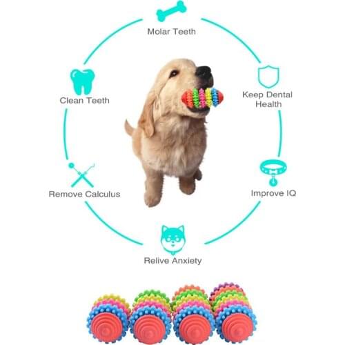New Fashion Dog Chew Toy Teeth Clean Bone Chew Bite Cleaning Pet Toys for Small Puppy Large Dog Accessories Supplier Dropshiphew