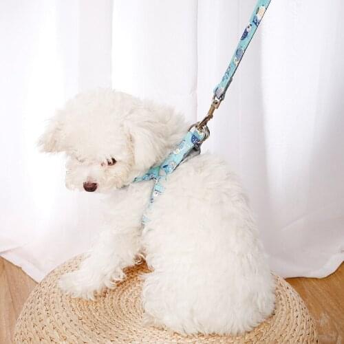 Puppy Dog Daisy Leash Dog Cat Go Out Civilized Leash Teddy French Bulldog Pet Chest Back Accessories