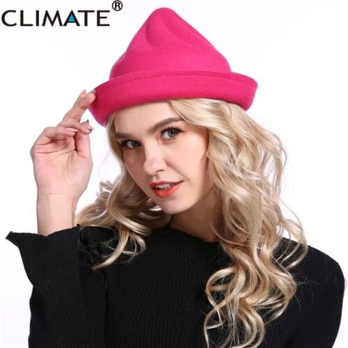 CLIMATE Funny Fedora Hat for Girl Woman Cute Lovely Fedoras New Girls Funny Ice Cream Cap Ladies Hats Polyester Woolen Cap Hat