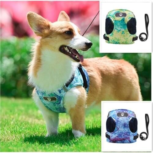 Winter Dog Harness Vest Collar with Leash Set Pet Cat Walking Harness Adjustable Reflective Lightweight Pet Harness Dropshipping