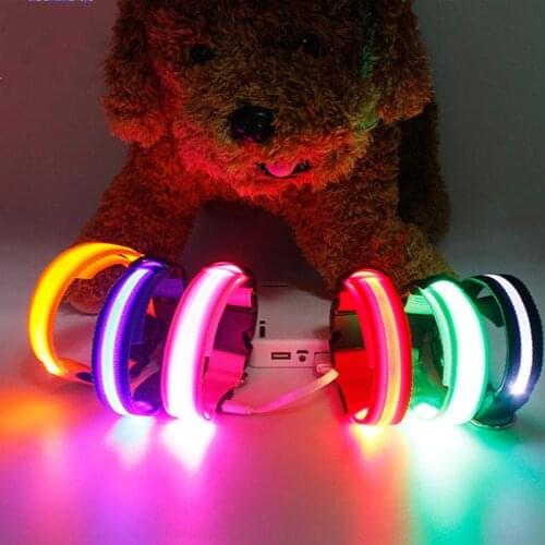 Safety LED Dog Collar – USB Rechargeable with Water Resistant Flashing Light Adjustable Nylon Pet Collar Luminous Pet Accessorie