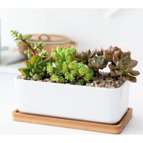 2PC Succulent Plant Pot White Ceramic Flower Cactus Flower Pot With Drain Hole Rectangular With Tray Simple Table Window Sill De
