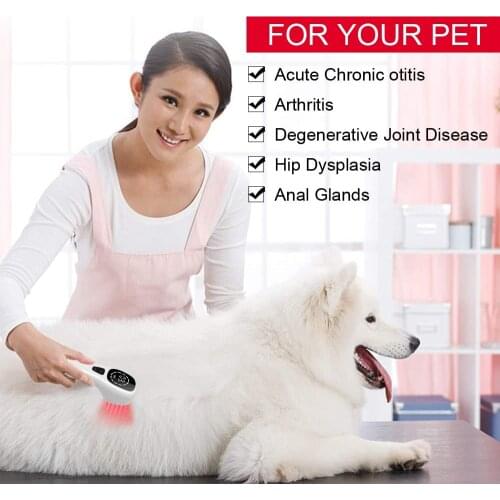 New Cold Laser Therapy Cure Pain Elderly Care Knee Joint Arthritis Pain Relief Effect on Veterinary Dog and Horse Cats