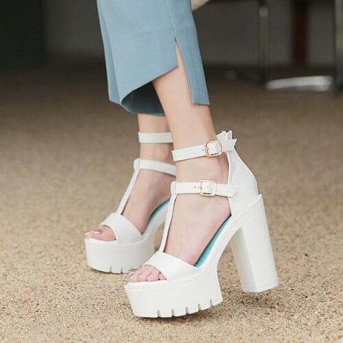 Womens Sandals New Summer Thick Super High Heel 15cm Nightclub Platform Shoes