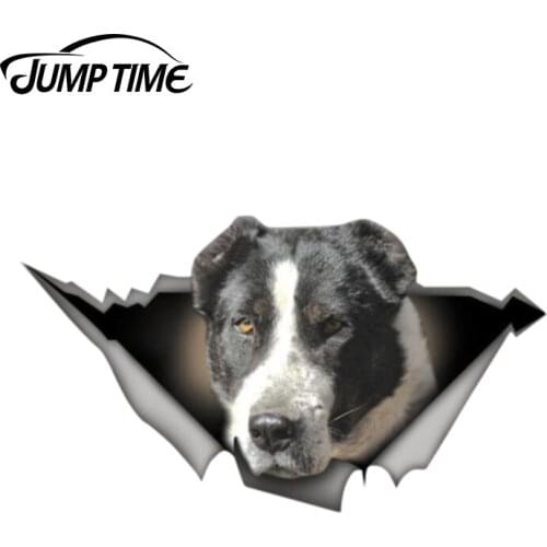 Jump Time 13cm x 7.3cm Black white Alabai Sticker Torn Metal Bumper Decal Funny Car Stickers Window Trunk Animal 3D Car Styling