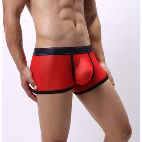Low Waist Lingerie Mesh Mens Pouch Bag Boxer Transparent Breathable Gay Erotic Red Blue White Pink Black Sexy Underwear