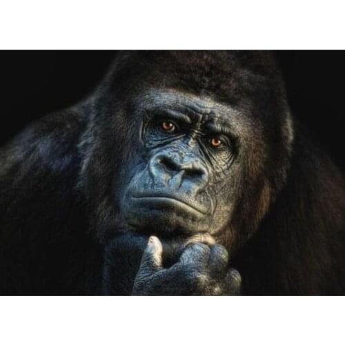 OrangutanFashion 5d # Diy Full Diamond Mosaic Diamond Embroidery Painting Diamond Painting Cross Stitch Home Decoration