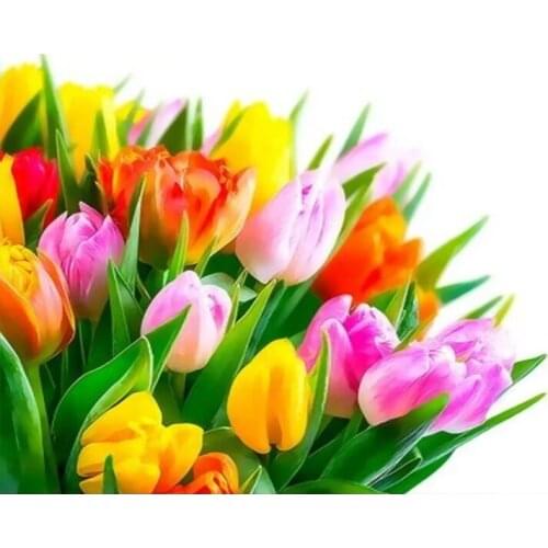 Landscape Oil Painting By Numbers Flower and women DIY Paint by numbers On Canvas Home Decor Frameless Digital Painting