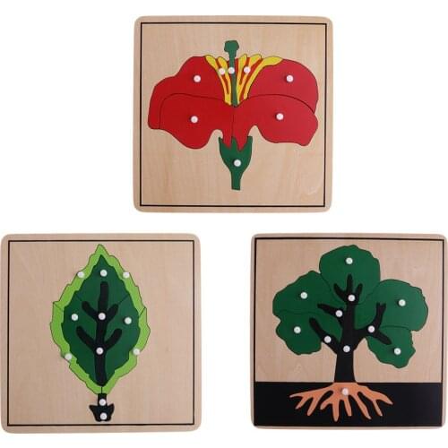3pcs Montessori Botanical Puzzle Jigsaw Intelligence Development Preschool kindergarten Learning Birthday Gift for Kids Children