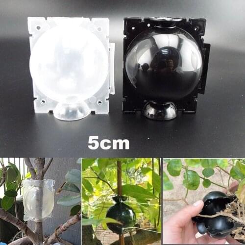 5pcs 5cm Plant Rooting Ball Plant Root Growing Box Grafting Rooting Growing Box Breeding Case For Garden