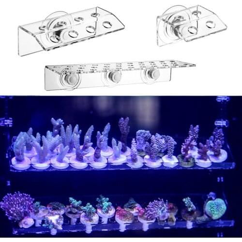 Coral fish tank SPS broken limb coral base. Coral fixing bracket. Coral fixing frame. Aquatic fish tank fixing tray