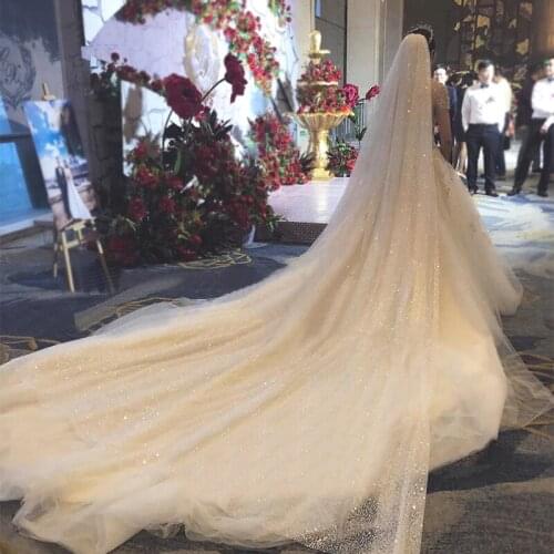 Tiara 2021 new web celebrity selfie super fairy luxury veil bride wedding tail shining veil