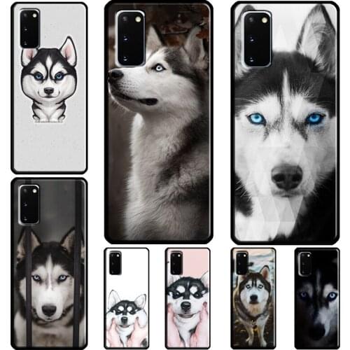 Animal Husky cute Puppy Dog Case For Samsung Galaxy S20 FE S8 S9 S10 Plus S10e S21 Ultra Note 20 Ultra Note 10 Plus