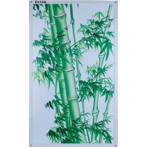 LG2-9,2PCS/LOT,electric heater,warm wall,Infrared heater,carbon crystal heater panel,heater with picture,look beautiful on wall