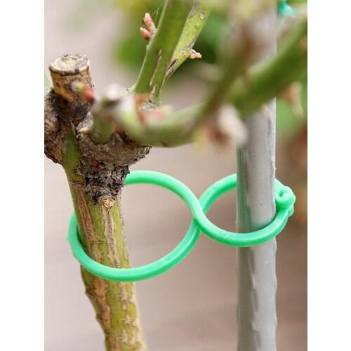 30/100 Pcs Eight-shaped Buckle Ring Gourd Ring Plant Tie Clip Grape Tomato Support Clip Garden Plant Support Protection Tools