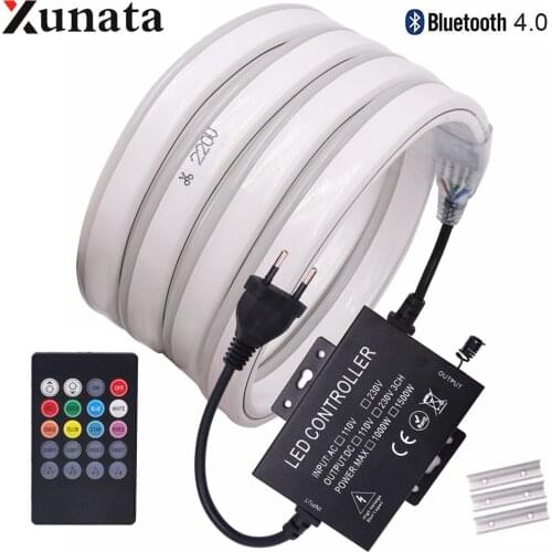 RGB Neon Strip Waterproof SMD 5050 Ribbon Flexible LED Neon Sign Light With 750W 1500W Controller & Bluetooth Remote 110V 220V