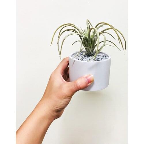 Succulent Planting Concrete Flowerpot Mould Handmade Cement Candle Vessel Candlestick Mold Plaster Concrete Storage Tray Mold