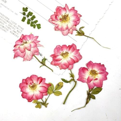 60Pcs Nature Pressed Red Roses Flowers With Branch, DIY Wedding Invitations Craft Bookmark Gift Cards Phone Case Decor