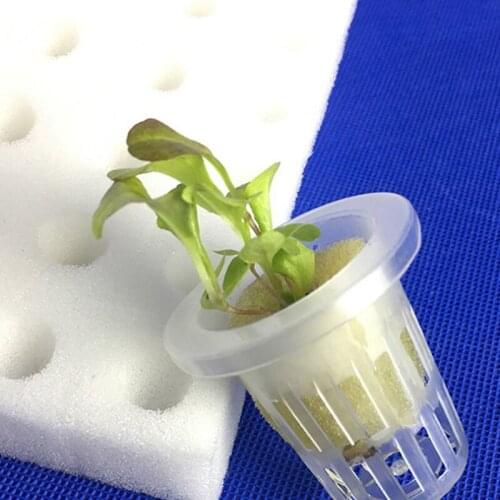 White Seedling Sponge Soilless Hydroponic Vegetables Nursery Pots Seedlings Cloning Collar Garden Cultivation Plant 100PCS