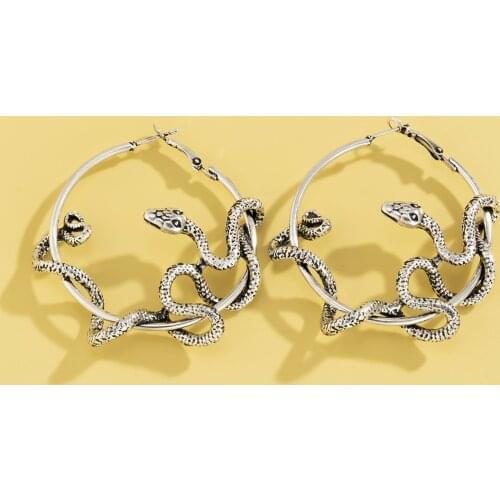 Retro Simple Metal Snake-shaped Personality Earrings European and American Style Personality Alloy 2021 New Ear Jewelry Women