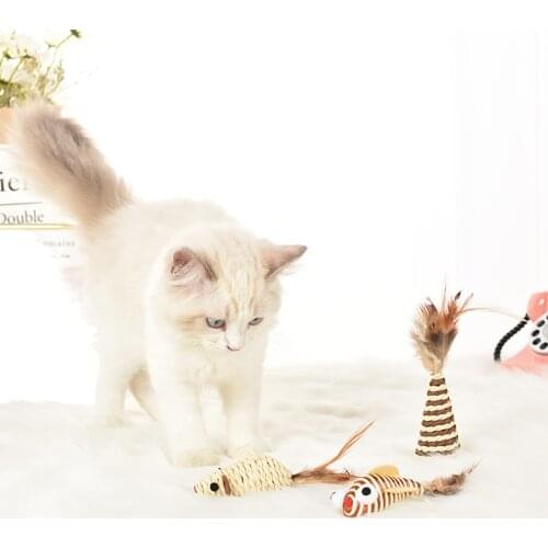 3PCS Cat Toy Set Assorted Training Cat Teaser Toy Cat Interactive Toy Mouse Toy Cat Funny Favor Toy Pet Training Toys