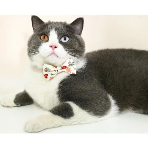 Soft Lovely Pet Puppy Dogs Butterfly Ties Collar Skin Friendly Pet Collar Adorable for Hiking