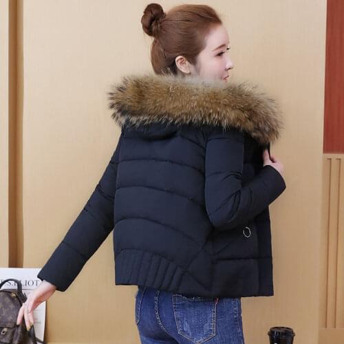 Fafallduo Women's Large Jackets