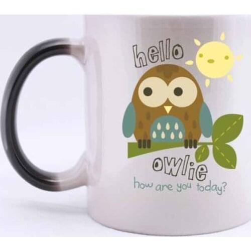 Cute Cartoon Owl how are you today? Heat Color Changing Mug Magic Coffee Mug Ceramic/11 Oz Morphing Mug - Best Gift For Birthday