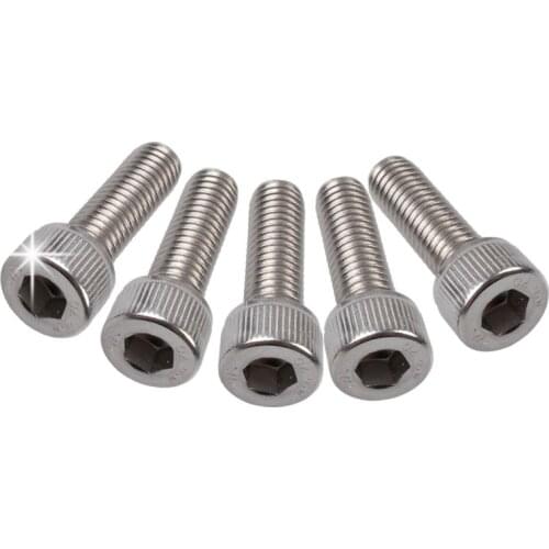 1/4" Size 304 Stainless Steel Screws(1 PCS)